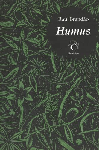 HUMUS 